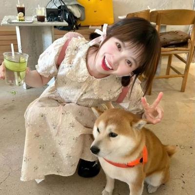 恋爱迷宫第一季
